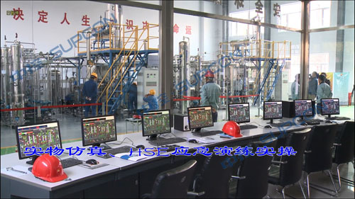 柴油加氢实物仿真装置LC-DHT